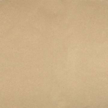 CARTA CAMOSCINO DI 2°T. 40X60 KG 18